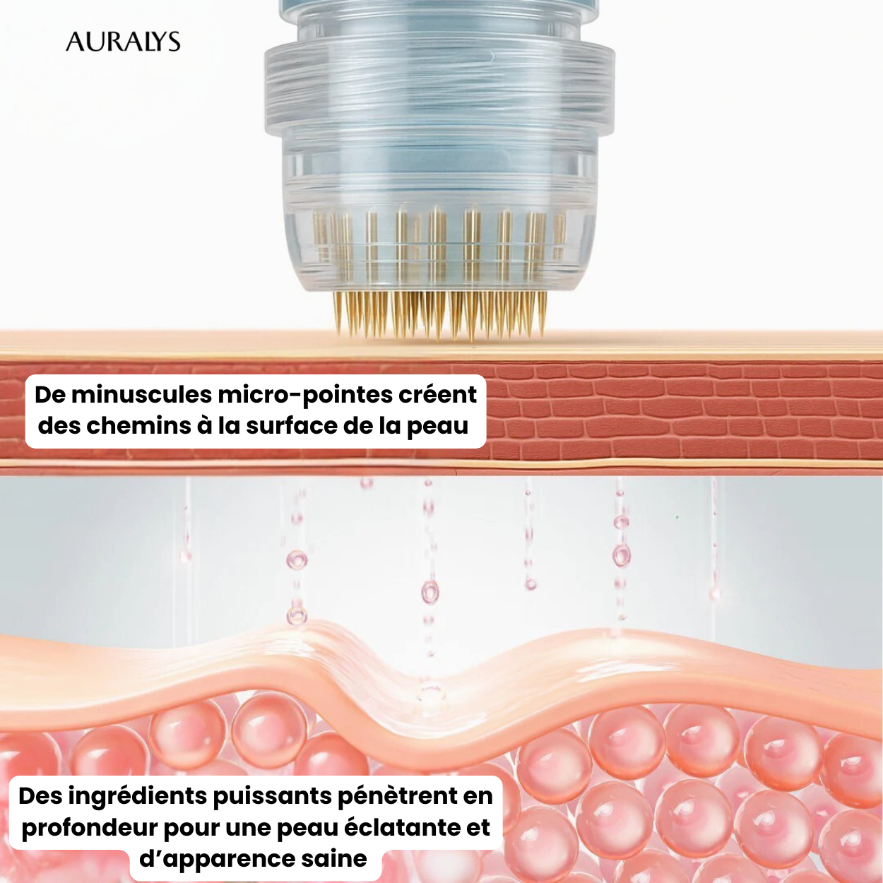Pack 6 Sérum Anti-Cernes